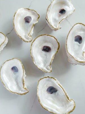 Oyster Accessories and Decor